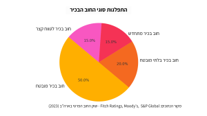 פאי המציג את התפלגות סוגי חוב בכיר